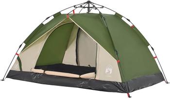 vidaXL Dome tent for 2 people with quick opening