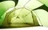VAUDE Mark XT 4P