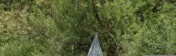 Brettschneider Moskitozelt Expedition Pyramid Single