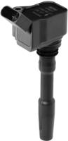 Borgwarner (BERU) Z&uuml;ndspule ZSE137
