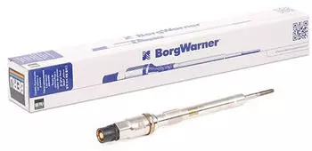 BorgWarner (BERU) PSG009