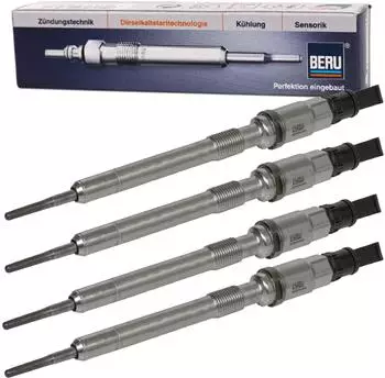BorgWarner (BERU) PSG006 (4x)