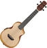 Ibanez AUC10E-OPN