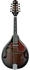 Ibanez M510E-DVS