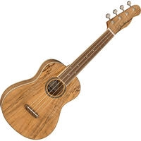 Konzert Ukulele Fender Zuma Exotic Spalted Maple