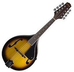 Stagg M40 S